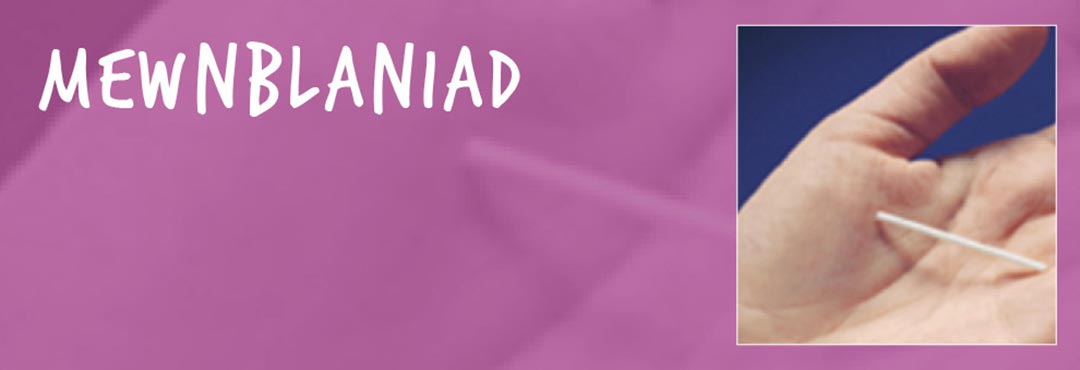 Mewnblaniad