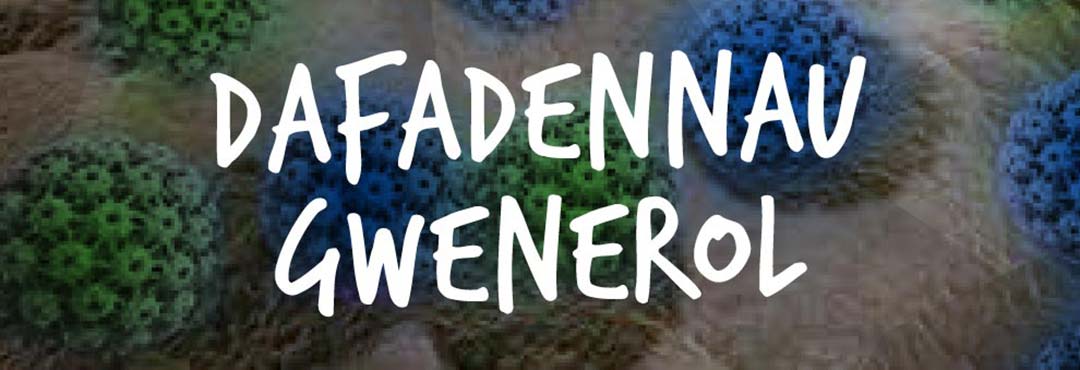 Ynglyn â Dafadennau Gwenerol