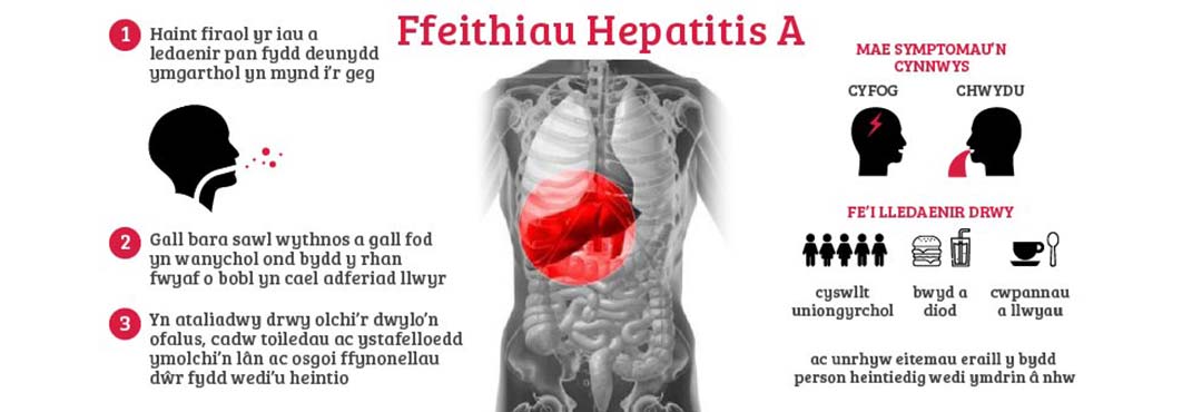 Ynglyn â Hepatitis A